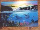 A Wall in Port Macquarie